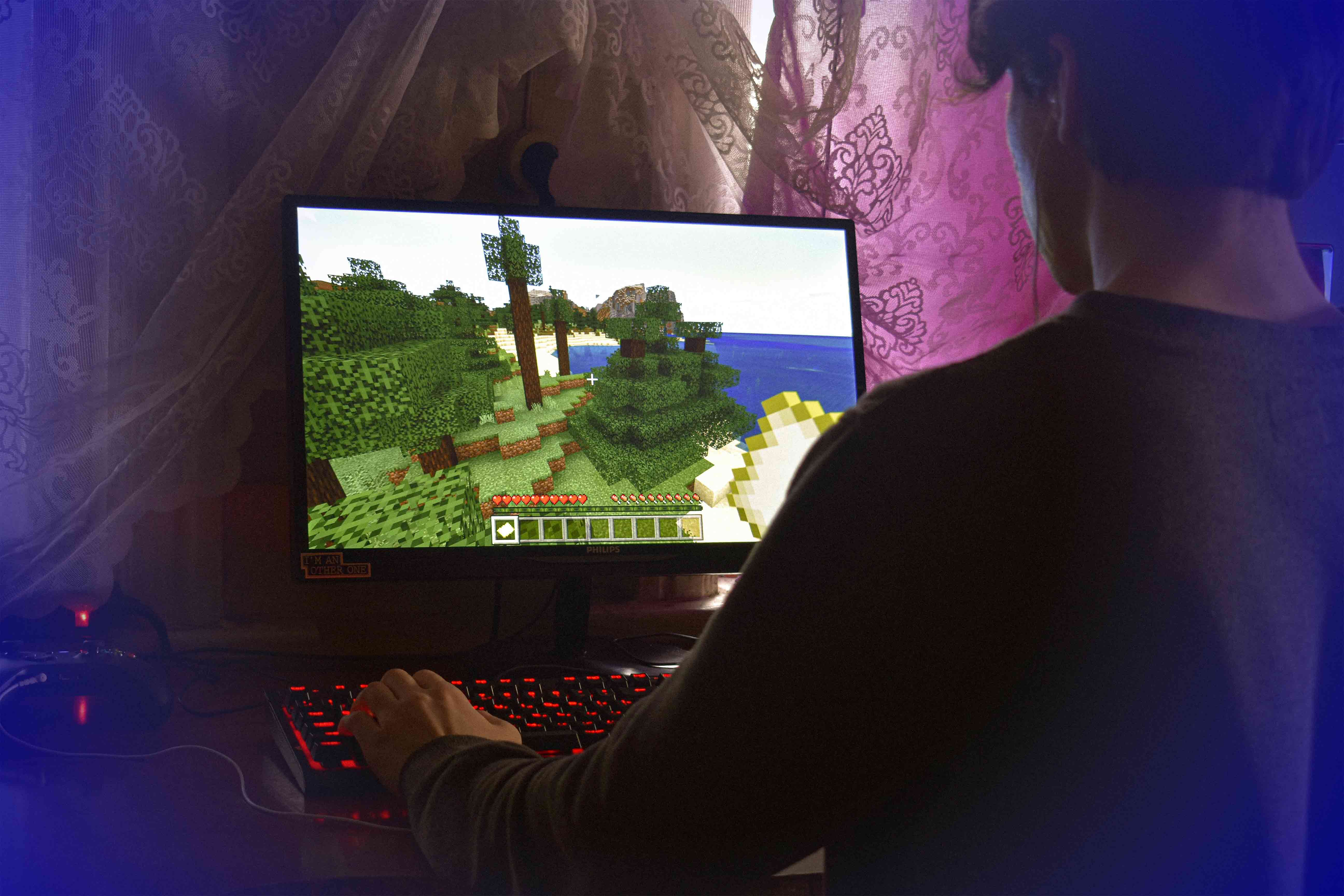 miniatura nery minecraft